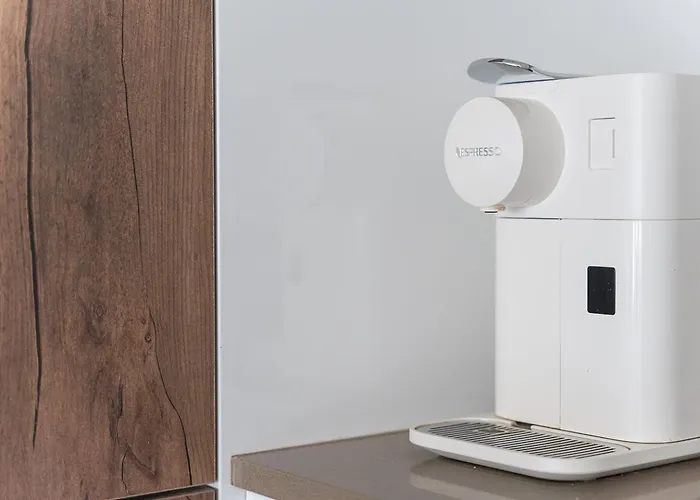 Guestready - The Aquatic Life Of Fão